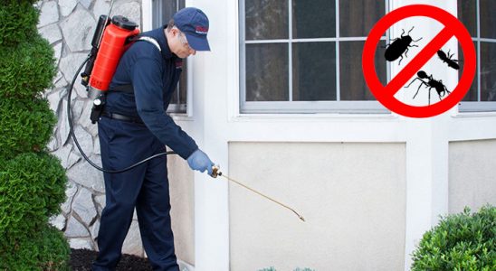 Dursunbey Fare İlaçlama böcek ilaçlama ve haşere kontrolü — ilaclama-tr.com